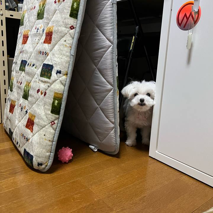 372c9481 e837 4252 af63 e41e329673d5 1699586149036