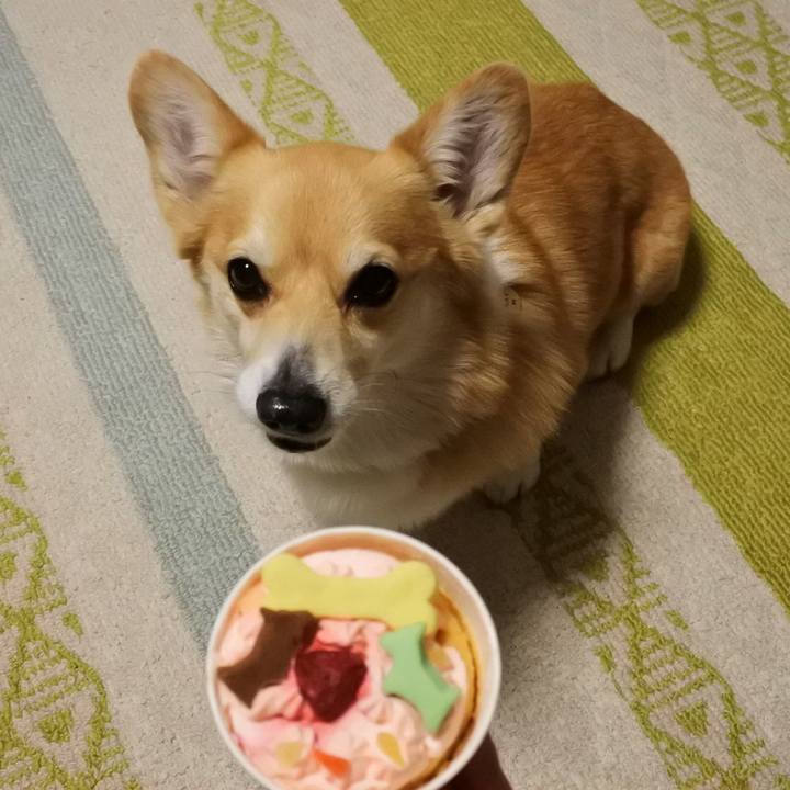 372cf841 1dfa 4ea9 b3d6 69cd3d6b14db 1654422895547