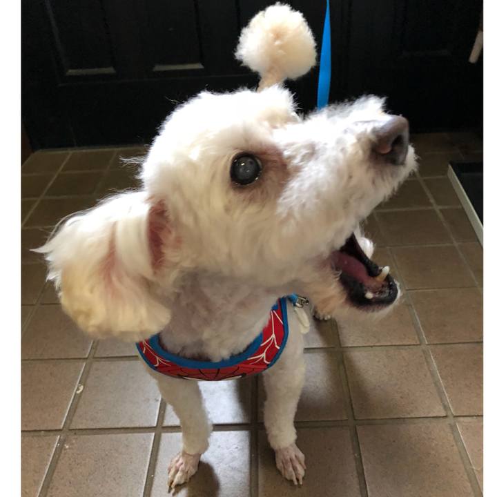 372d1a8a 153a 4b0e ada5 a694a00fed90 1535124709820