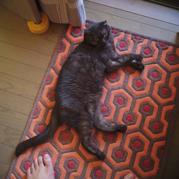 372d3205 888a 4d4c 8b08 968a2d77b9b0 1599574401513