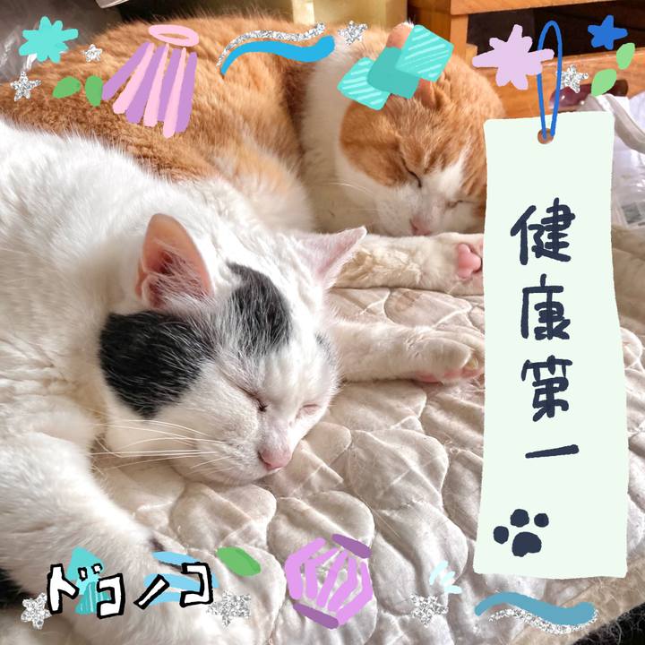 372d7052 c319 4fcf 9d5b ba05ce66ca44 1720830242223