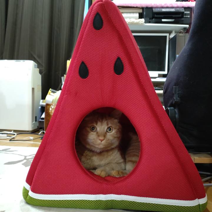 372da1a7 bb2d 4397 a128 03e852399838 1650620243747