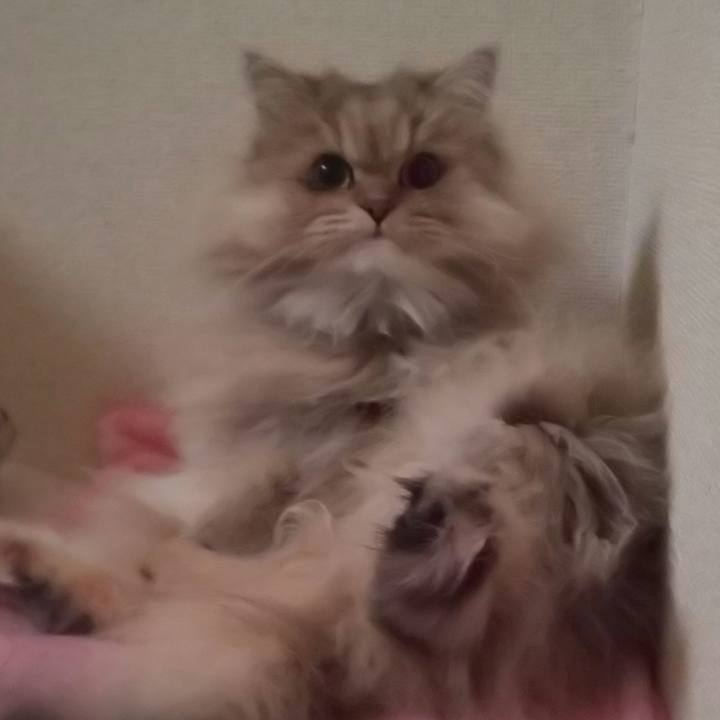 372da61b c9a4 42d9 9ba6 a7aa05499d14 1605481652429