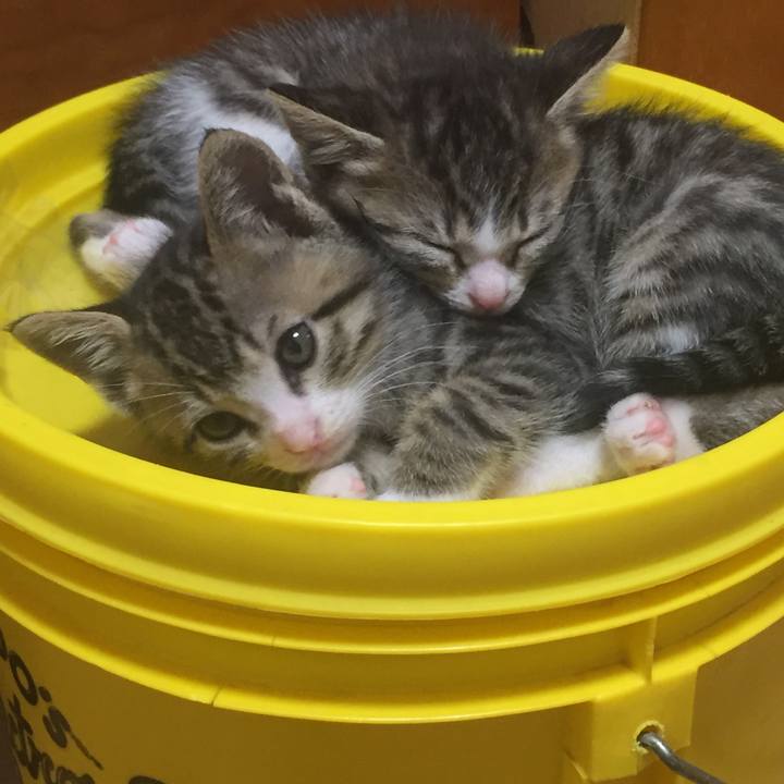 372dc481 270b 4f43 8ca0 840cb2baca22 1652459236937