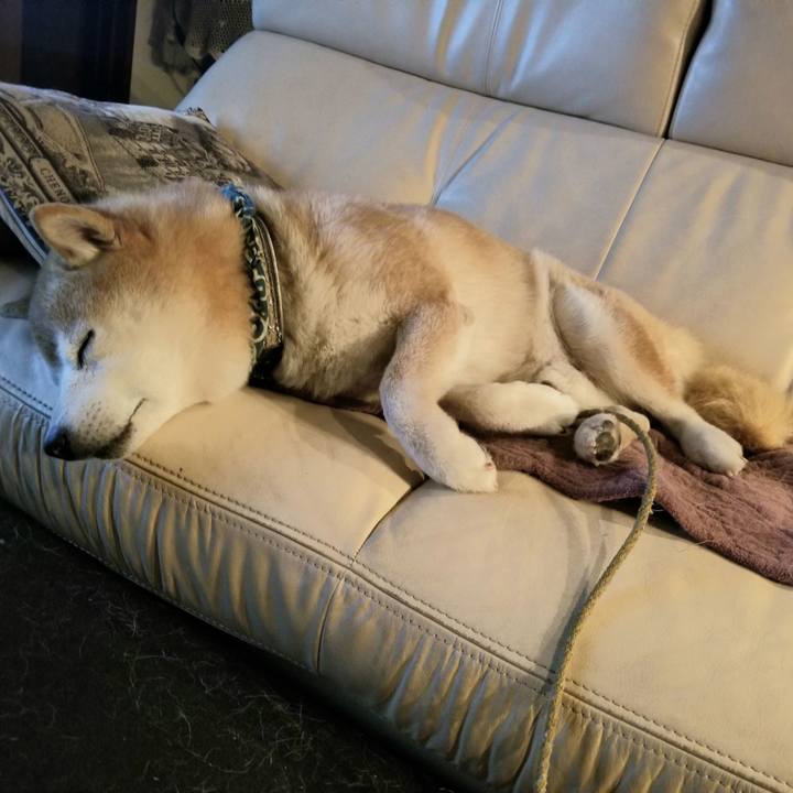 372de671 eeed 48ea 8762 26d0f5b2aa23 1705231198720