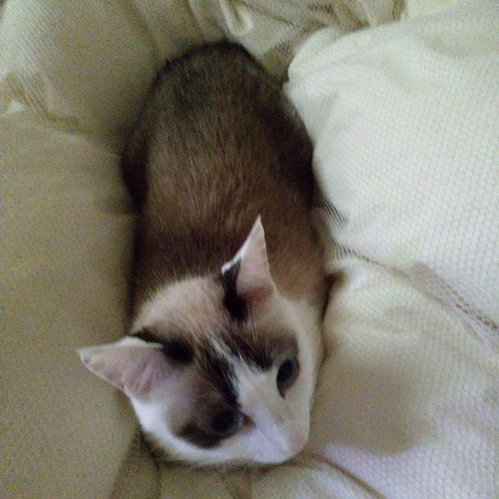 372e1d1f 874e 42d5 a468 1ac070bb0863 1571269073878