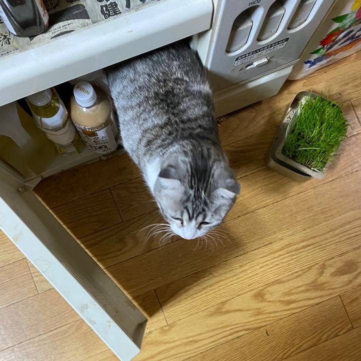 372e576d 911a 455f b4a8 86cec9da4eb4 1612390603644