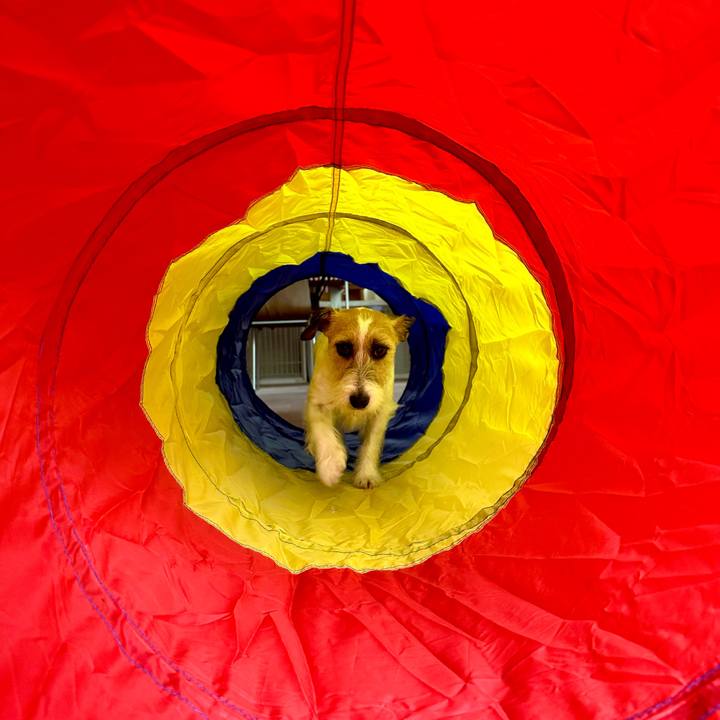 372e756e f7c7 4b36 9384 b0058f62a6a2 1714227271872