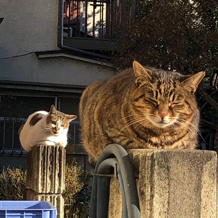 372e79b4 93eb 4670 8f74 bcf481b10876 1547047353002