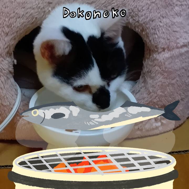 372eb641 bdce 4237 9f80 9c0c953b77c7 1764106286766