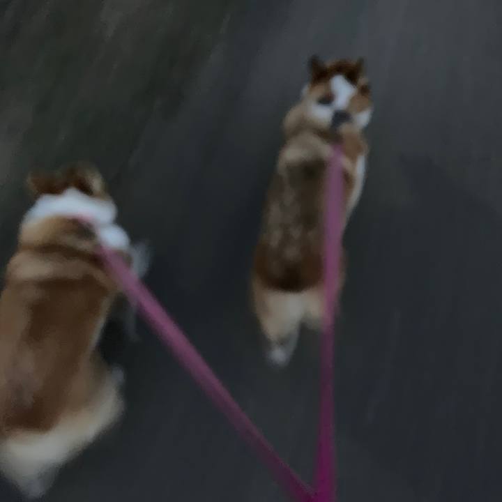 372ee1bd 3bbb 472b 8ba3 8eb9e7b60279 1570009279236