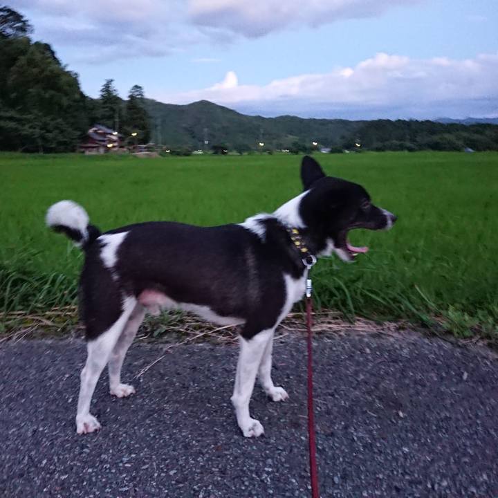 372ee3b9 96ca 4d6c bf5f b3e0047362e3 1531133915457