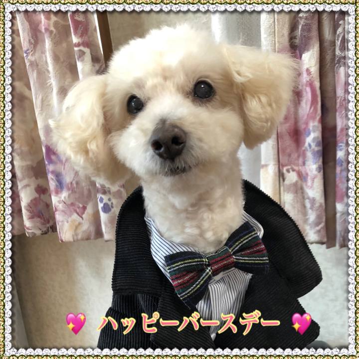 372ee5de e0f5 4707 a290 79f71ab2c346 1552573071786