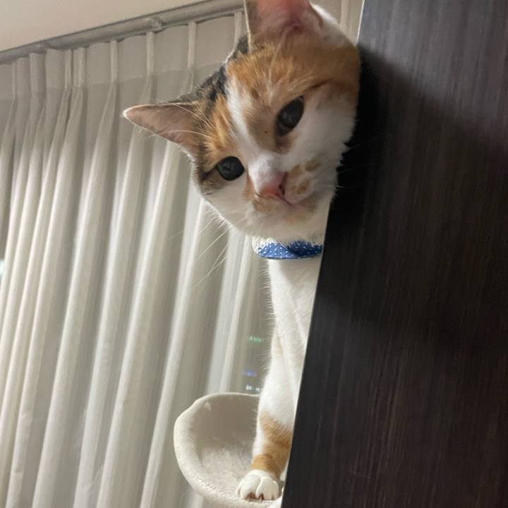 372ee92d c89d 454d 8407 500224db8e69 1705752285006