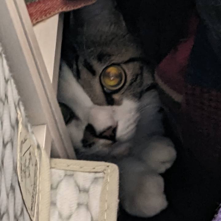 372f248f f185 491f a861 16fe59d77dcd 1678229113831