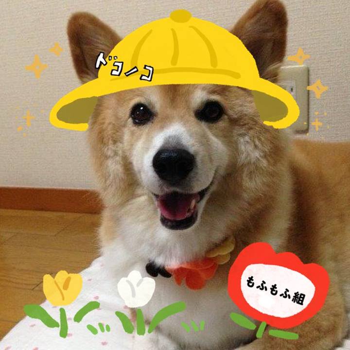 372f327c 0605 4615 a0fd efc9a908639f 1712227373092