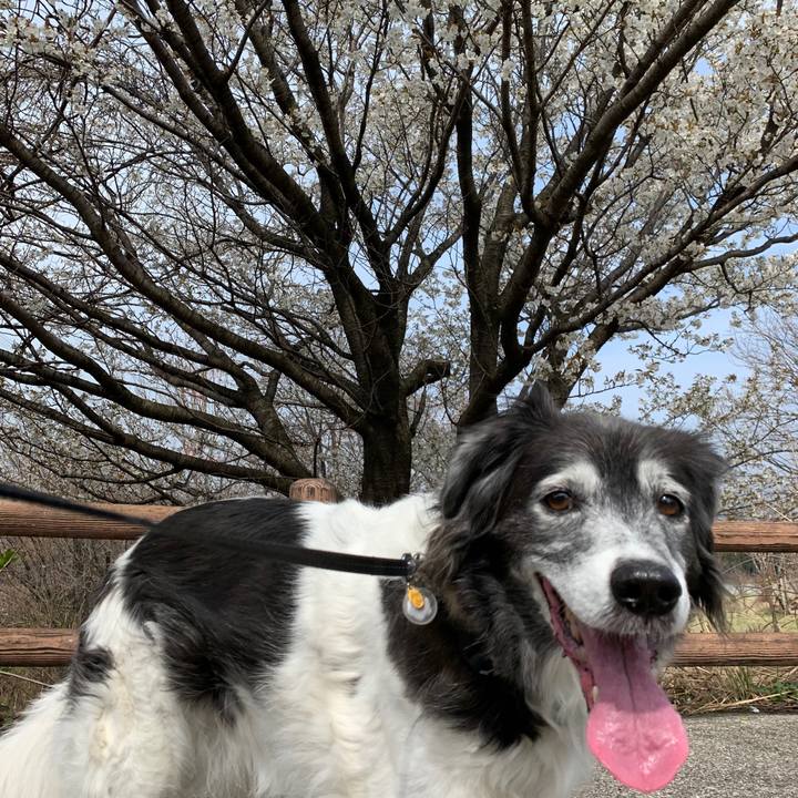 372f3679 229c 499b bc51 166a7197c155 1615805232804