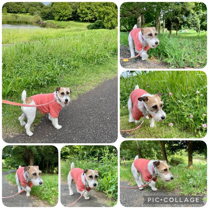 372f607c 8439 473e aec1 642202b09dd4 1624606147167