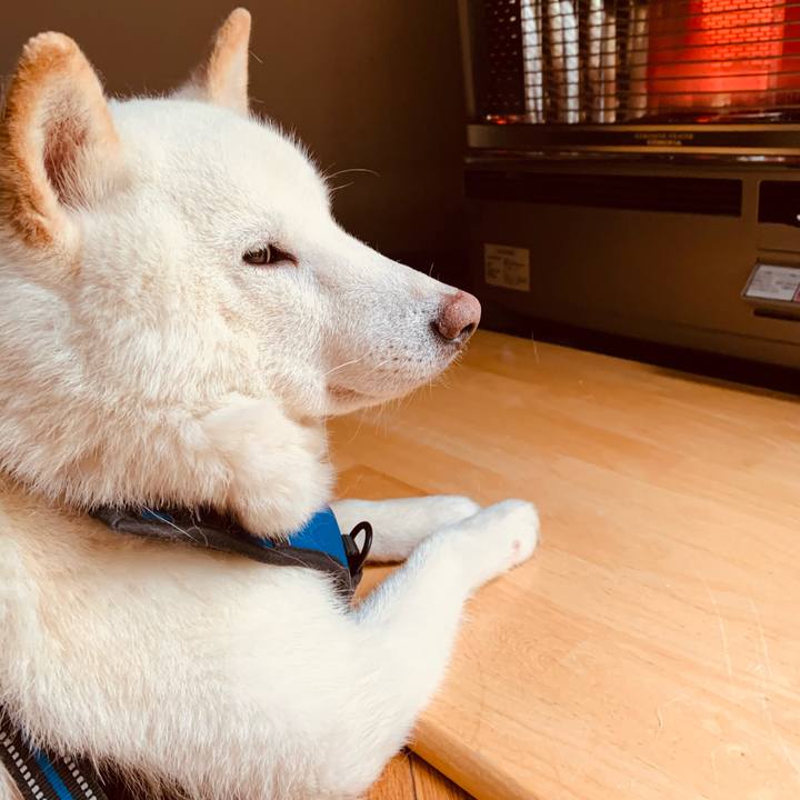 37301b31 84e0 4d87 81e0 38a25faa0302 1622151673514