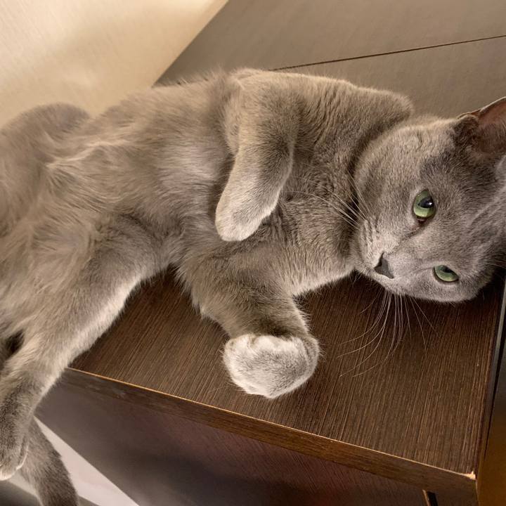 37303d3f 95b9 4103 9f57 60f22cf4b874 1644098912198