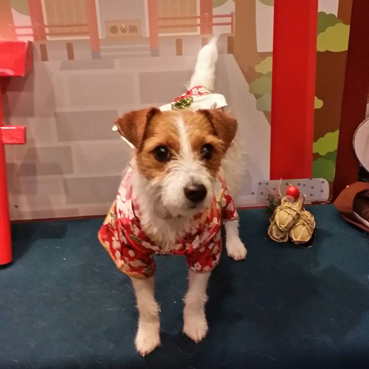 373053cb 749a 4fcb a881 f2141aba0f0c 1514936279611