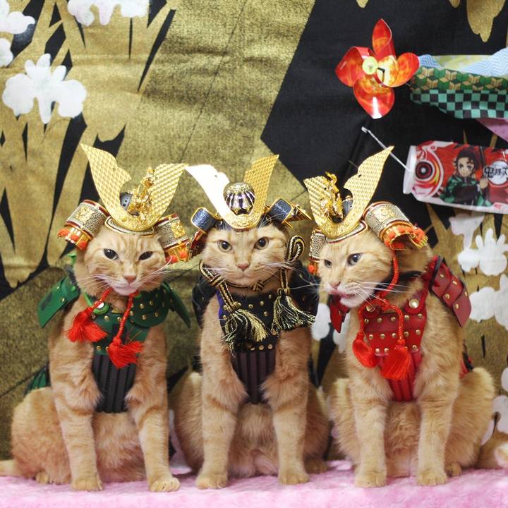 37305856 6fa8 4864 8bee 4f9898127613 1683030767956