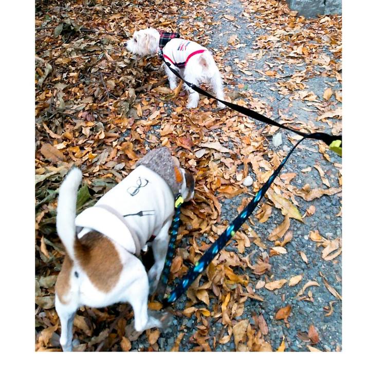 3730d9a1 19a6 4219 ac8f 615885ab346a 1512206148490