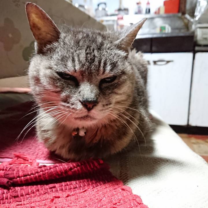 3730edd9 e5fb 4062 b230 6fe191d53b44 1566331656318