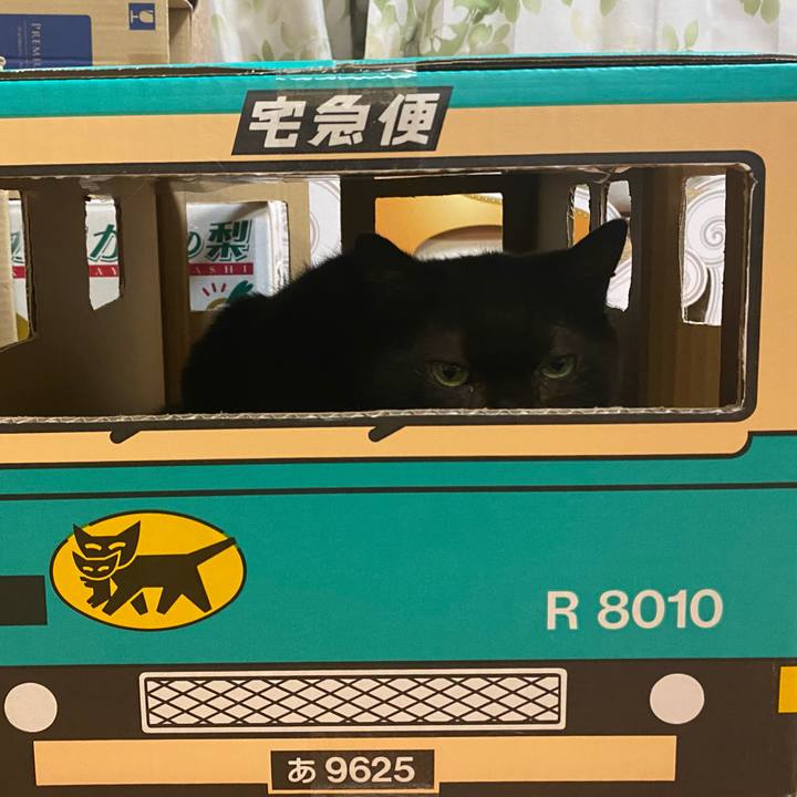 37312f93 3431 4e09 8112 f2900969ffe0 1606554947302