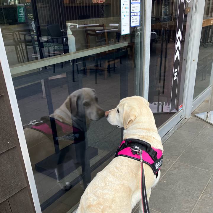 37314760 8e3e 4097 b159 46865c152dd5 1676414000985