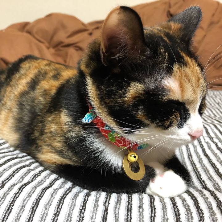 37314767 3974 47e0 95ef a01d65cd47ab 1559132777928