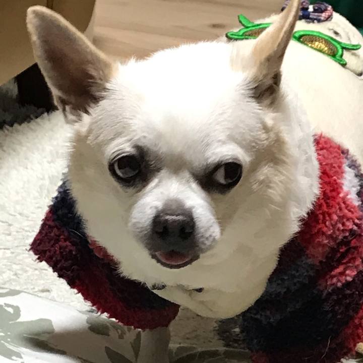 37315ed3 5ec4 458f 8e5a 5afc0b81f170 1616230783714