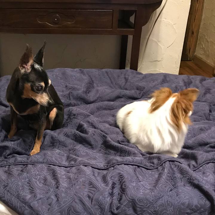 3731cea0 5b55 4d49 b170 5ac53502a56d 1536492036327