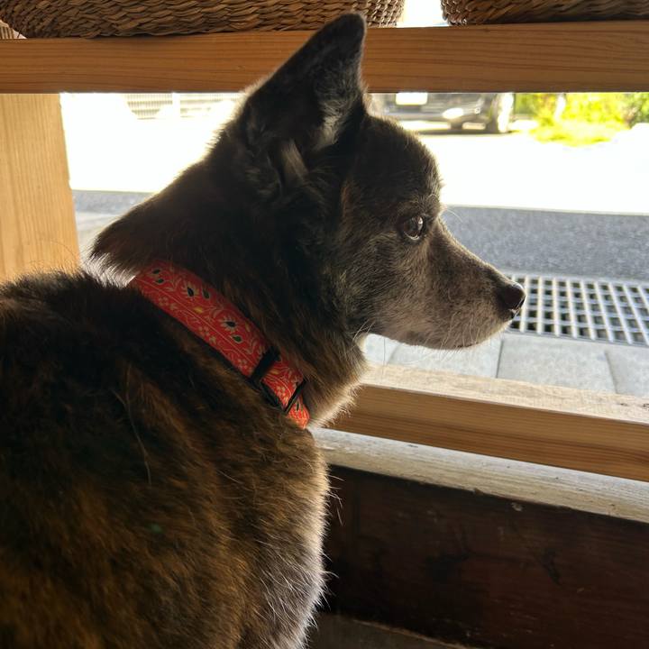 373214a2 a427 4732 a160 66cdb2ff0aed 1746999368227