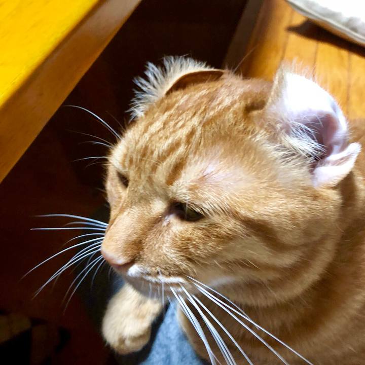 373249ab f3b0 4485 bd53 238286362648 1530970972950