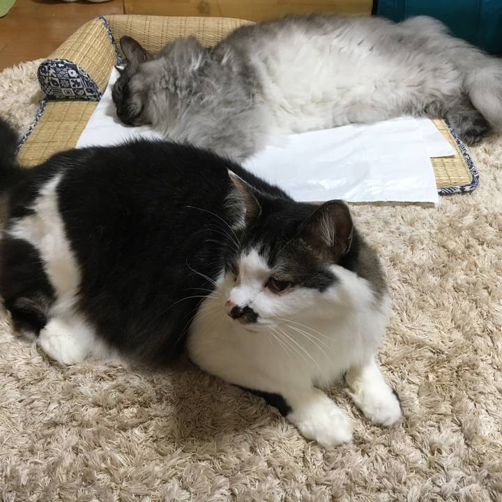 37325c99 d202 44c8 a500 628098b0177a 1564025305553