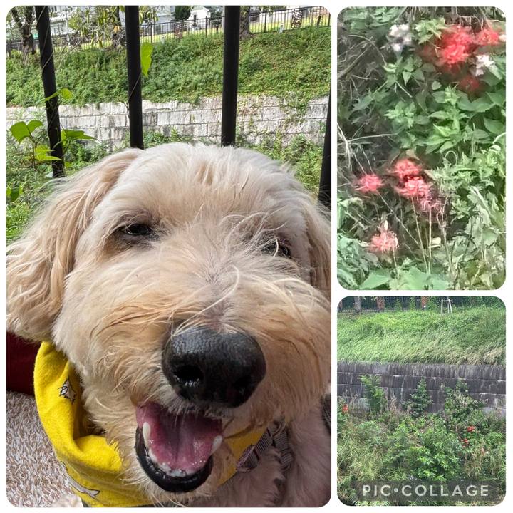 3732b360 93f3 4bd5 9e8e 670c8a4c5910 1758679422317