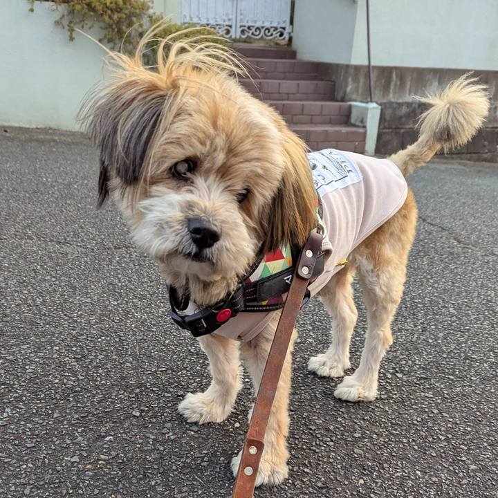 3732e487 b7fb 4c38 906c 4efcd6cf6794 1740179342850