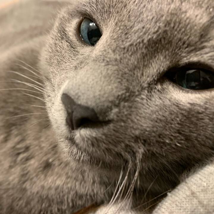 3732eb49 4ac8 44f7 8274 02b452264d59 1579904643520