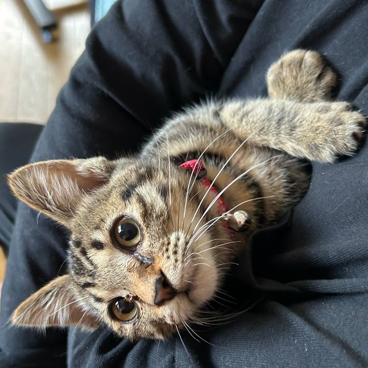 37330589 dc6f 497e 9913 b5c636bf51df 1728688542211