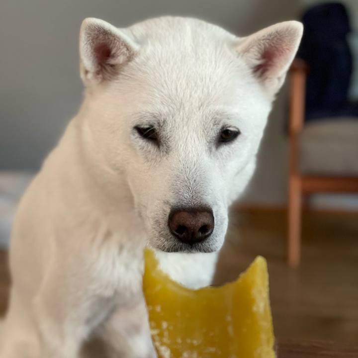 37330cfb e7b1 4325 ac08 ca652388ffe9 1648548142238