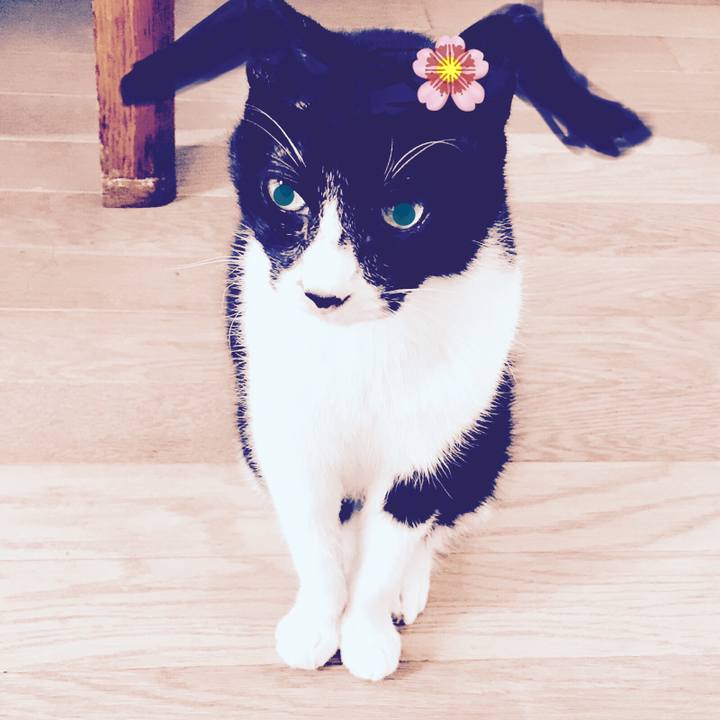 373328c7 110f 49e9 a4ca e9020db8f2ee 1544353261460