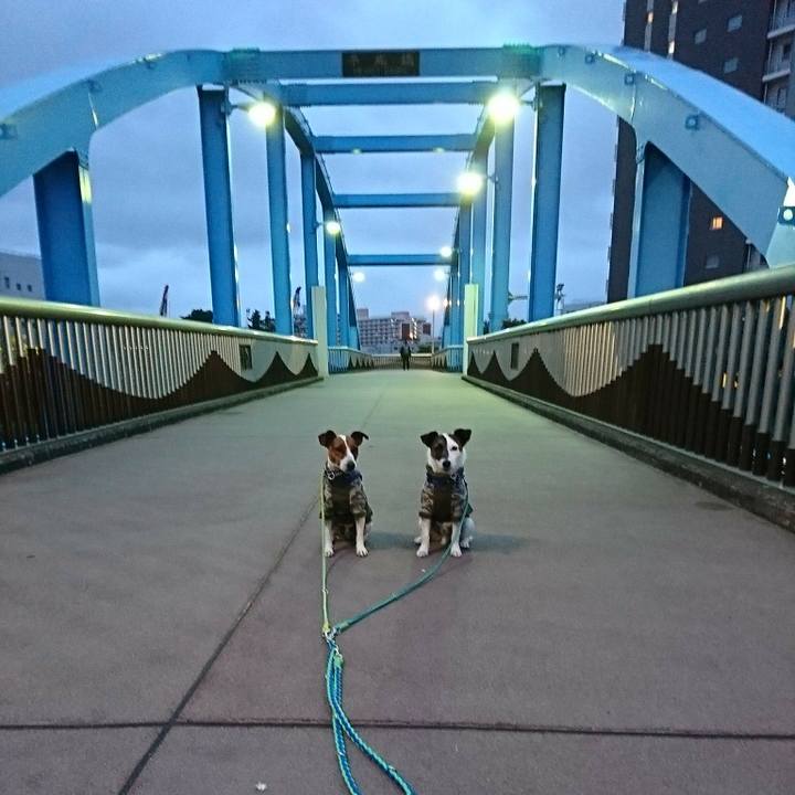 37333e78 a4f9 493b a0b8 03f789f11a6d 1590141487351