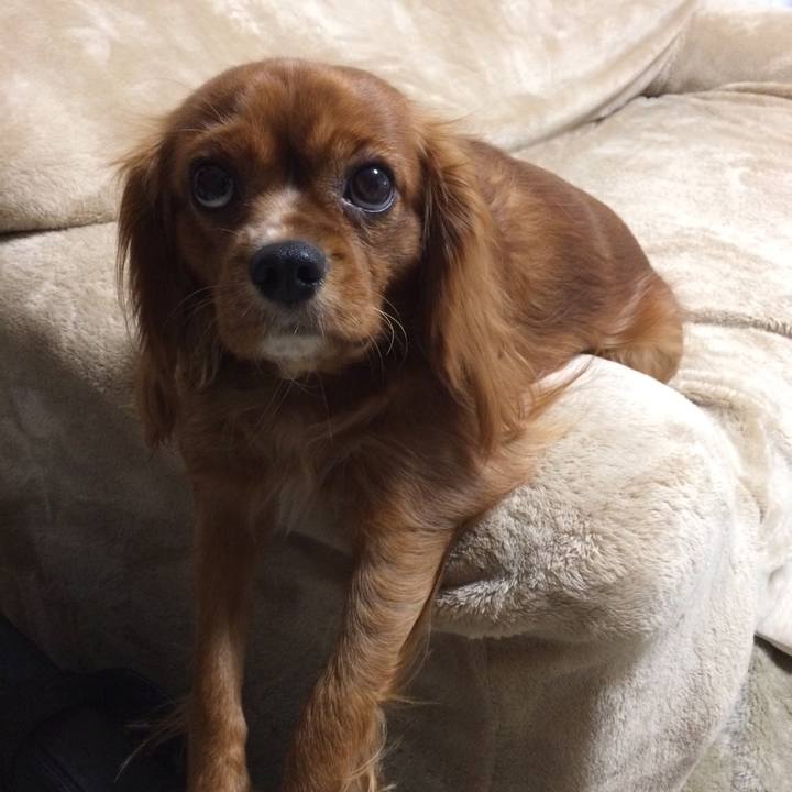 3733b02d ac26 46b6 9aa9 d7532b9fce4c 1512598417647