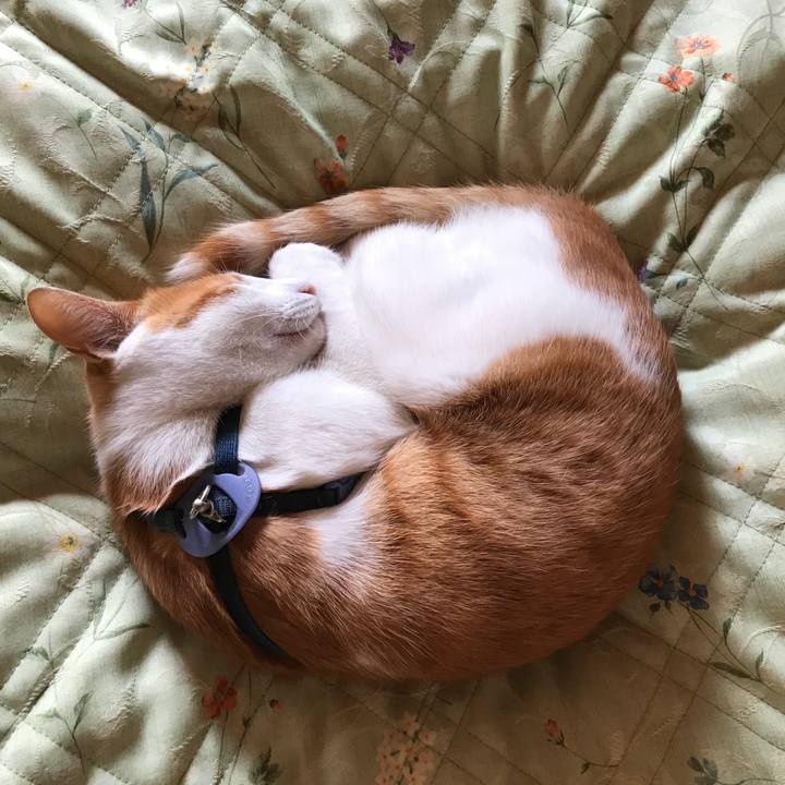 3733b758 0cf9 40a1 8373 41c84977c443 1517041844678