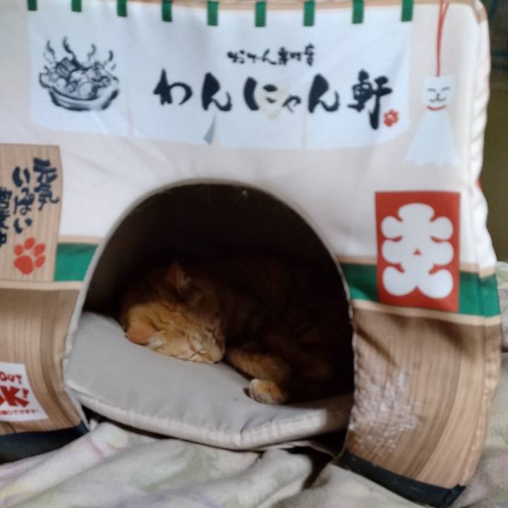 3733bc75 01f8 41d1 a0ed e90d97c99610 1682772695111