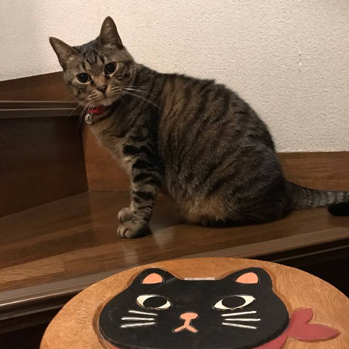 3733c07d 9380 40f7 aaf1 8380eb496ad6 1560176077431