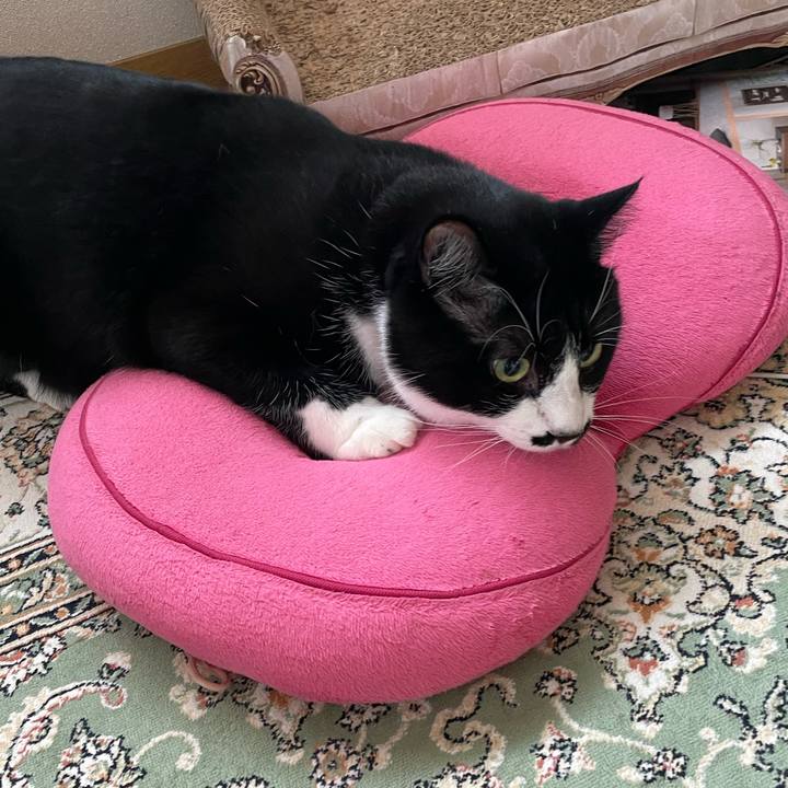 3733ef3b 93fa 4ace 96be 11d6e5b0457d 1692520457683