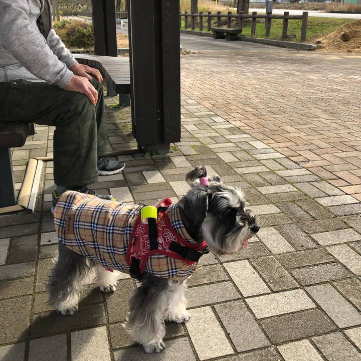 3733f291 0be8 4df0 b557 79f0edba7fad 1576405499739