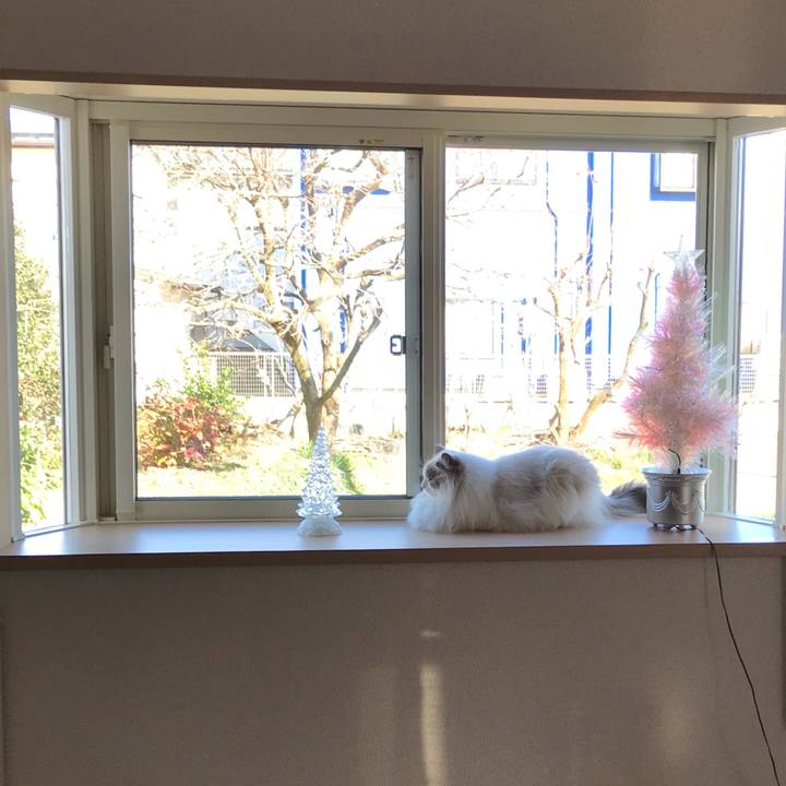 3733fb09 da71 488b 8afc b9a8e892de99 1606220049942